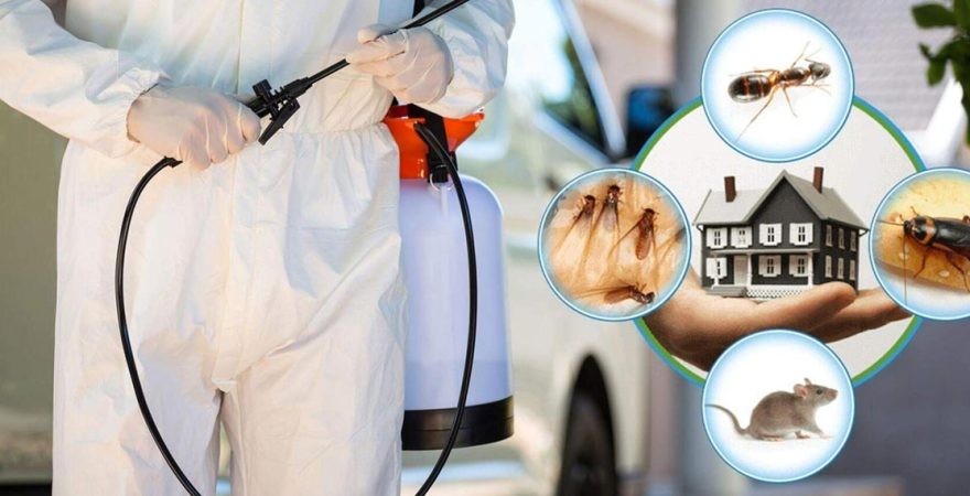 Aladağ Böcek İlaçlama