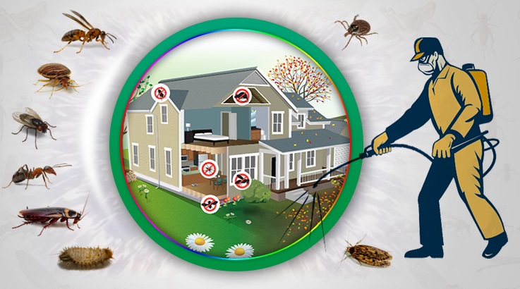 Aladağ Böcek İlaçlama