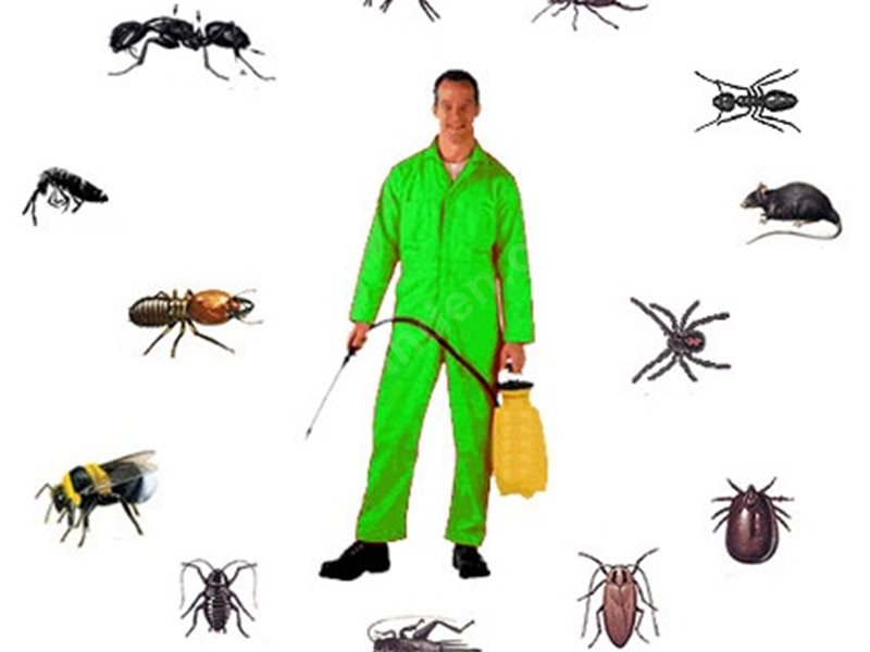 Aladağ Böcek İlaçlama